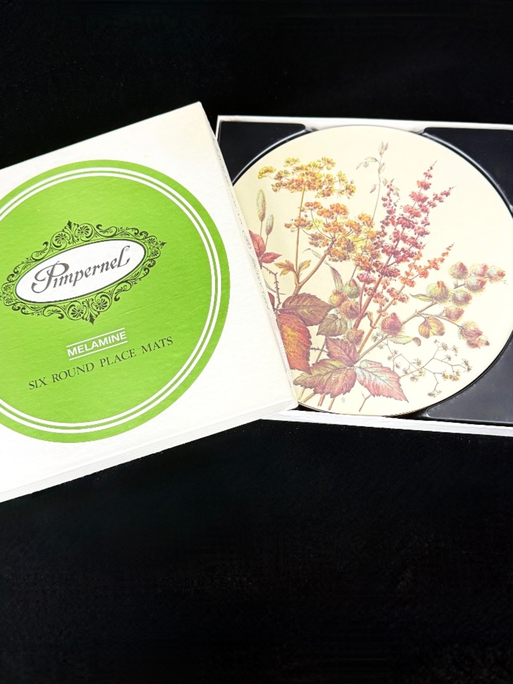 1980s Pimpernel Six Placemats 10 inch Round Melamine Autumn Leaves Felt Backs
